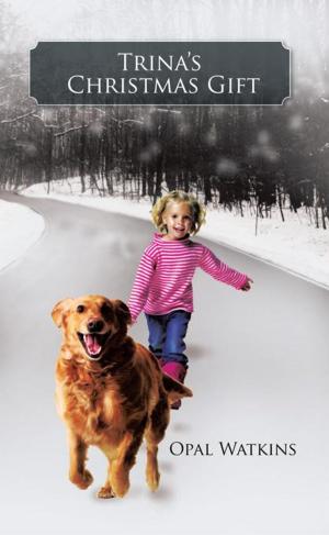 Cover of the book Trina’S Christmas Gift by JAY R. LEACH