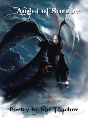 Cover of the book Angel of Sorrow by Elizabeth Baroody, Donnie Obina