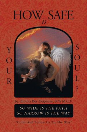 Cover of the book How Safe Is Your Soul? by D. Walker