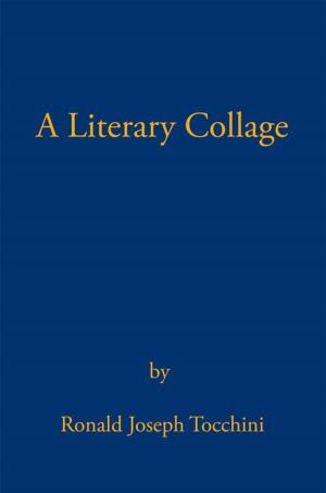 Cover of the book A Literary Collage by Albert E. Vicent