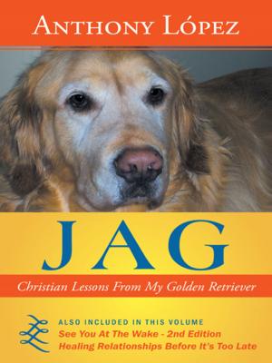 Cover of the book Jag by Richard Damante