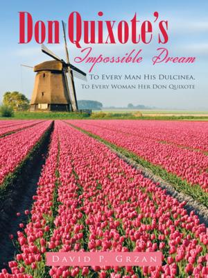 Cover of the book Don Quixote’S Impossible Dream by Nicholas Coletto