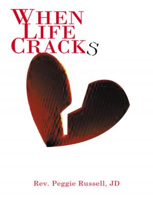 Cover of the book When Life Cracks by Avish Parashar