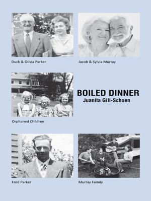 Cover of the book Boiled Dinner by Frank PN Adjei-Mensah