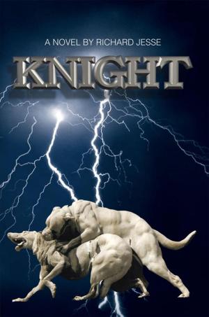 Cover of the book Knight by Antonio Noé Zavaleta