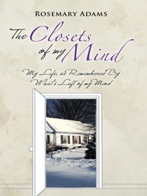 Book cover of The Closets of My Mind