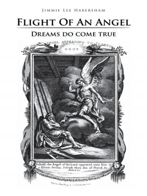 Cover of the book Flight of an Angel by E.J.S.J