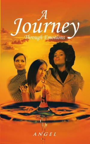 Cover of the book A Journey Through Emotions by Violet Pollux