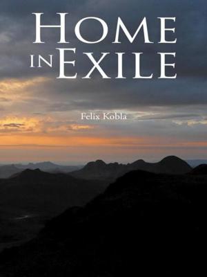 Cover of the book Home in Exile by PAUL D. DASILVA