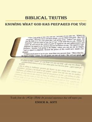 Cover of the book Biblical Truths by Wendy L. Jackson