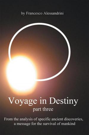 Cover of the book Voyage in Destiny — Part Three by Ben Amponsah