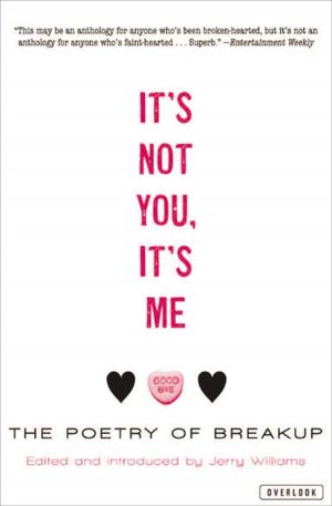 Cover of the book It's Not You, It's Me by Amy Herzog