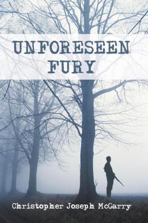 Cover of the book Unforeseen Fury by Caroline Gerardo