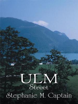 Book cover of Ulm Street