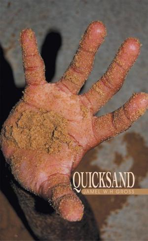 Cover of the book Quicksand by Stephen V. Riley