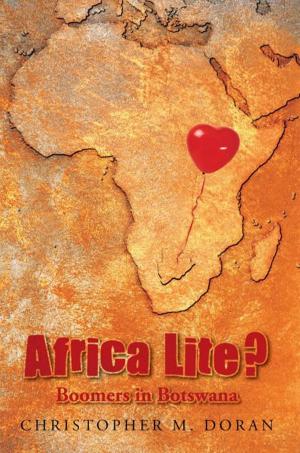 Cover of the book Africa Lite ? by John E. Manning