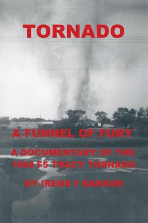 bigCover of the book Tornado by 