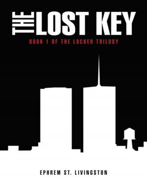 Book cover of The Lost Key