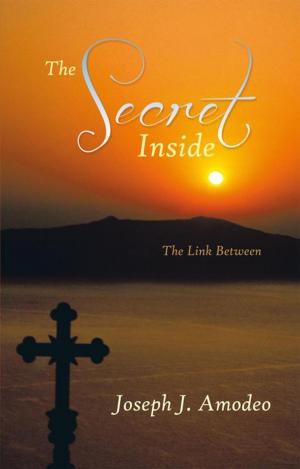 Book cover of The Secret Inside