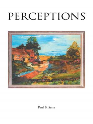 Cover of the book Perceptions by Melvin Bielawski