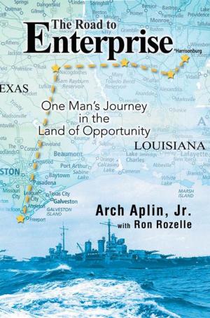 Cover of the book The Road to Enterprise by Anita O. Brown