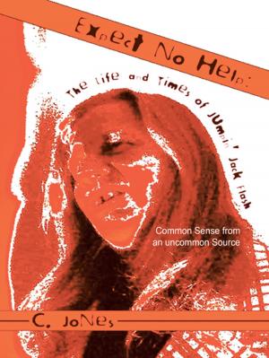 Cover of the book Expect No Help: the Life and Times of Jumpin Jack Flash by Stewart A. Zelman