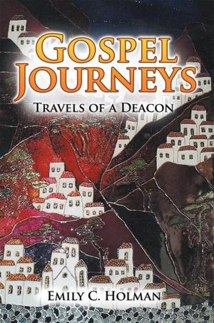 Cover of the book Gospel Journeys by Alan Nemtzov RN