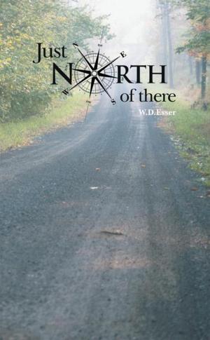 Cover of the book Just North of There by Nicolai Andreyevich