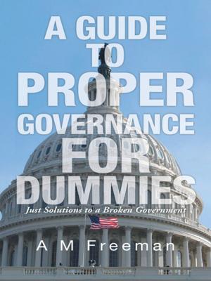 Cover of the book A Guide to Proper Governance for Dummies by Emilio Aleu