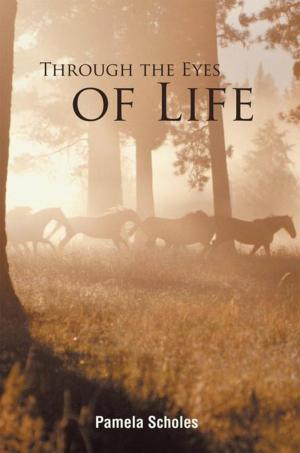 Cover of the book Through the Eyes of Life by Sidney Owitz
