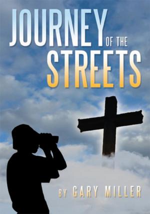 Cover of the book Journey of the Streets by Patrick Longe