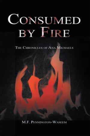Cover of the book Consumed by Fire by Kat Irwin