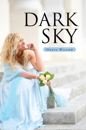 Cover of the book Dark Sky by Nigel Grant