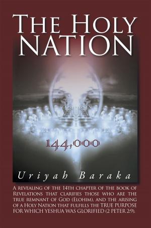 Cover of the book The Holy Nation by Caleb Johnson