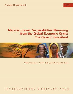 Cover of the book Macroeconomic Vulnerabilities Stemming from the Global Economic Crisis: The Case of Swaziland by Richard Holdren