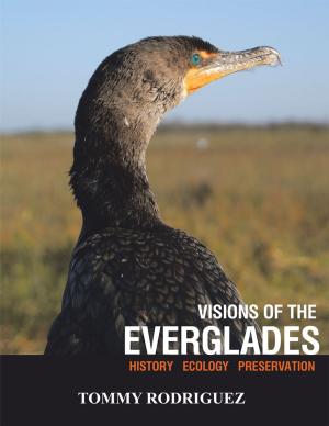Book cover of Visions of the Everglades