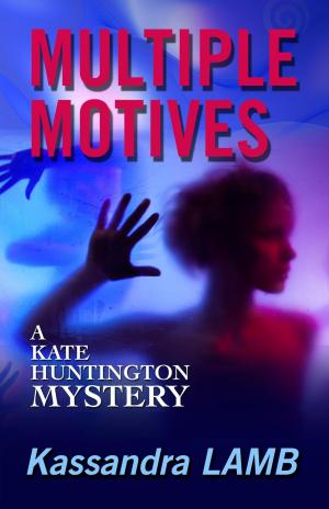 Cover of the book Multiple Motives by Shonah Stevens
