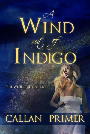 Cover of the book A Wind out of Indigo by B. Fowler