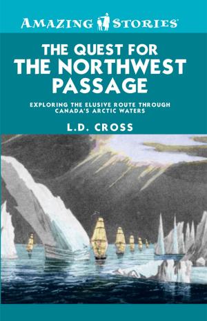 Cover of the book The Quest for the Northwest Passage by Richard Brignall
