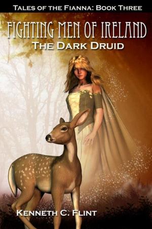 Cover of the book The Dark Druid by Hayley Barrett