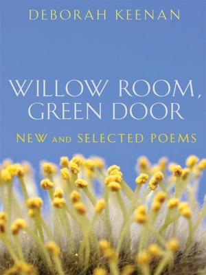Cover of the book Willow Room, Green Door by David Keplinger