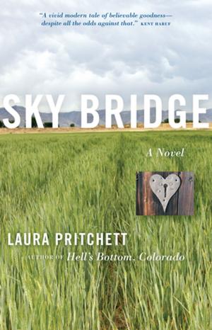 Cover of the book Sky Bridge by Jon Pineda