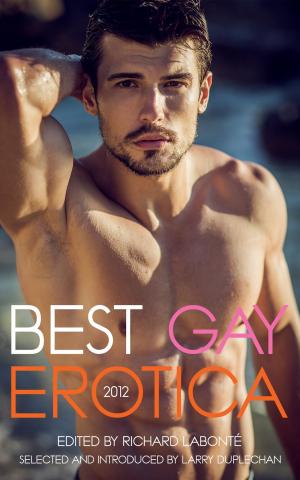 Cover of Best Gay Erotica 2012