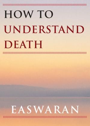 bigCover of the book How to Understand Death by 