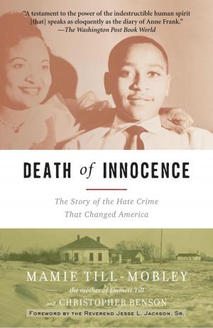 Cover of the book Death of Innocence by Stephen Woodworth