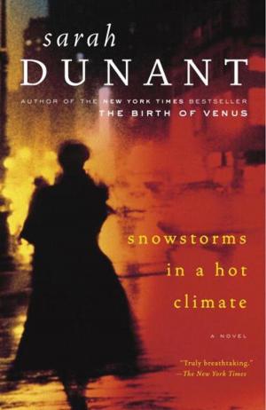 Cover of the book Snowstorms in a Hot Climate by Melanie Benjamin