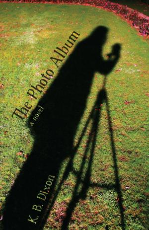 Book cover of The Photo Album