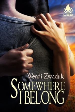 Cover of the book Somewhere I Belong by Allison B. Hanson
