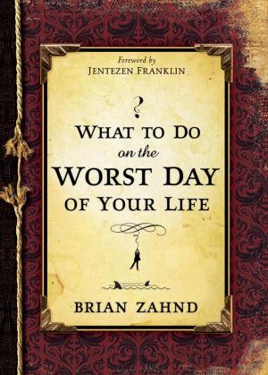 Cover of the book What To Do On The Worst Day Of Your Life by Dennis Prince