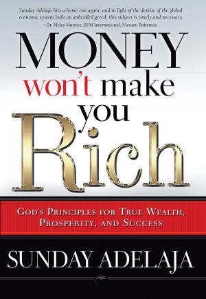 Book cover of Money Won't Make You Rich